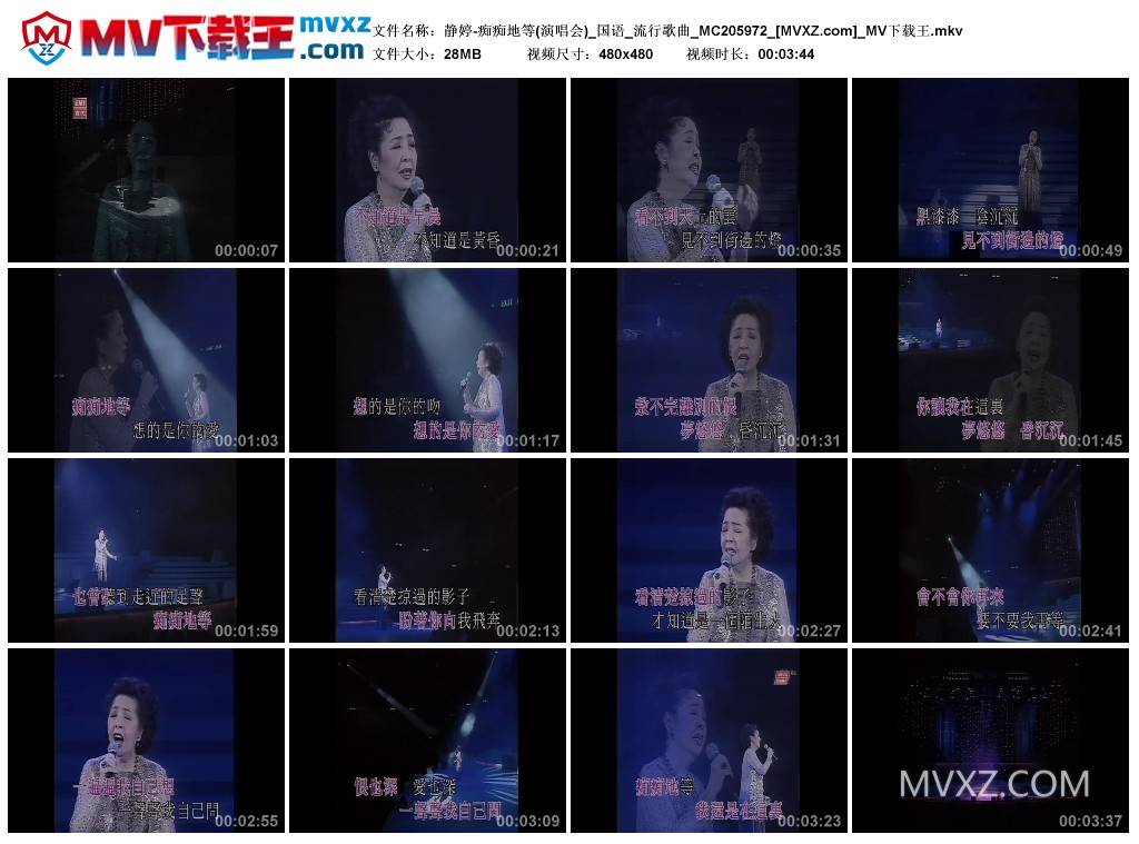 静婷-痴痴地等(演唱会)_国语_流行歌曲_MC205972